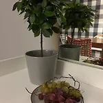 Apartment Pollo Resort, Summer Wind Slantschew brjag